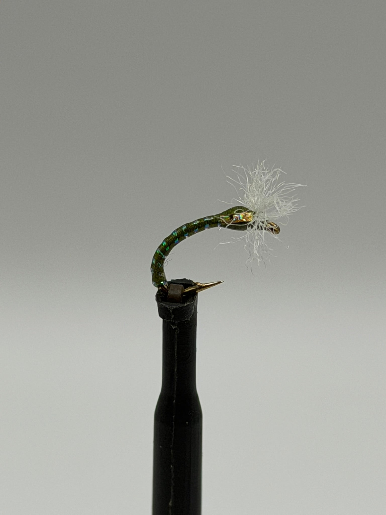 Chironomid buzzer fly lure on black stem, green segmented body, feather tail, gold head