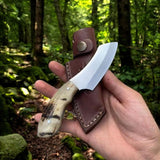 Good Deer Skinning Knife with D2 Steel Blade – Mountain Hunter