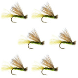 Barbless Olive X Caddis Emerging Caddis Adult Fly - 6 Flies Size 14