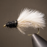 Caddis Pupa