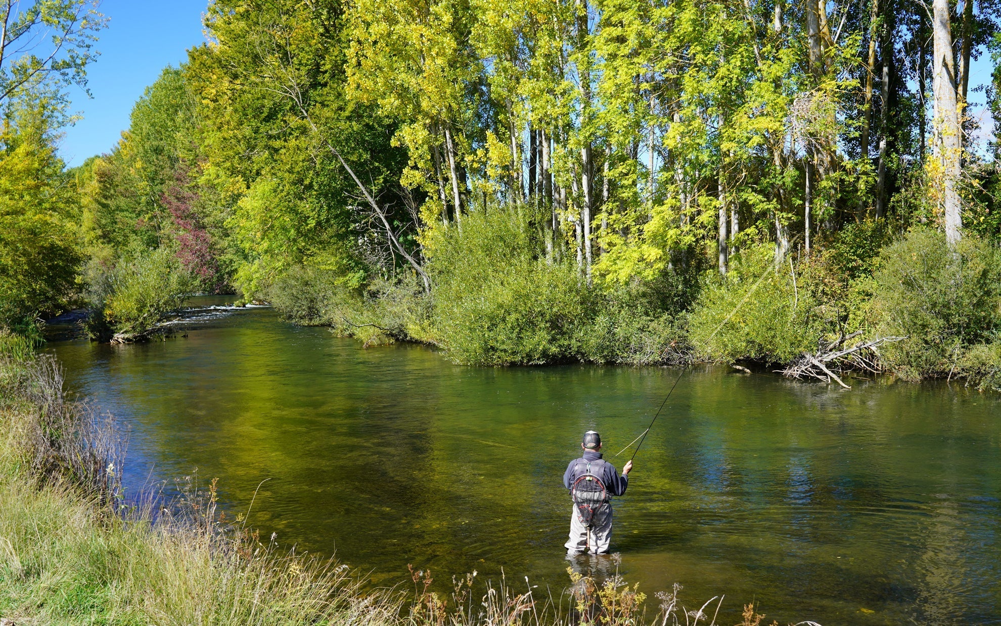 Angler fishing from riverbank with rod and line