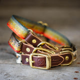 Freshwater Dog Collars