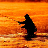 3 Pack Olive Beaded Shrimp Scud Pattern - Size 16 - Tailwater Lake Fly Fishing Nymph