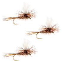 Dry fly with feathered hackle, brown and tan body, bronze hook (size 12)