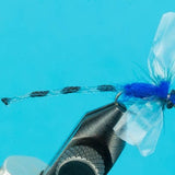 Adult Damsel