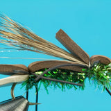Amy's Ant