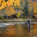 Griffiths Gnat Midge Trout Dry Fly - 12 Flies Size 22