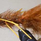 BH Woolly Bugger