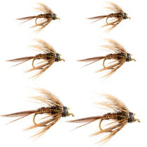 Soft hackle pheasant tail nymph flies, six tan-brown feathered patterns