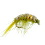 Beaded Shrimp Scud Assortment - 1 Dozen - Size 16 - Tailwater Lake Fly