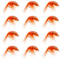 Orange beaded shrimp scud fly nymphs, size 12, 12-pack set on white