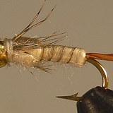 Bead Head Emerger™