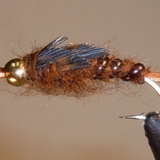 BH Giant Stonefly Nymphs