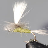 Parachute Blue Wing Olive