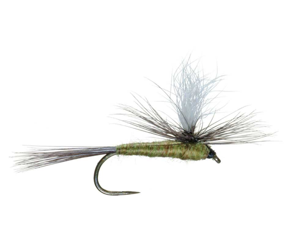 Olive winged dry fly with upright hackle and barbless hook, single close-up
