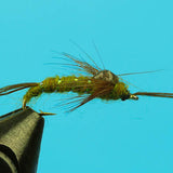 BWO Poxyback
