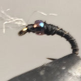 Barbed Wire™ - Midge