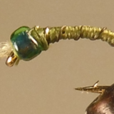 Barbed Wire™ - Midge