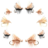 Basics Collection - Elk Hair Caddis Dry Fly Assortment - 10 Dry Fishing Flies - 5 Patterns - Hook Sizes 12, 14, 16, 18