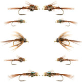 Basics Collection - Bead Head Pheasant Tail Nymph Assortment - 10 Wet Flies - Hook Sizes 14, 16, 18