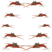 Brown stonefly nymph wet flies set with bead head and rubber legs