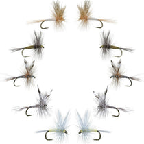 Assorted dry fishing flies set with 10 feathered patterns on hooks