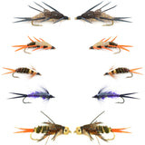 Basics Collection - Double Bead Head Nymph Assortment - 10 Wet Flies - 5 Patterns - Hook Size 10