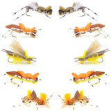 Basics Collection - Foam Hoppers Dry Fly Assortment - 10 Dry Fishing Grasshopper Flies - 5 Patterns - Hook Size 10