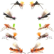 Set of foam grasshopper dry flies with varied wings and black hooks