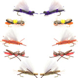 Basics Collection - Chernobyl Ant Foam Dry Fly Assortment - 10 Dry Fishing Grasshopper Flies - 5 Patterns - Hook Size 10