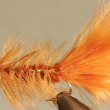 BH Woolly Bugger