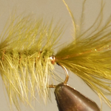 BH Woolly Bugger