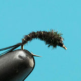 Black Caddis Pupa