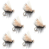 Black Elk Hair Caddis Classic Trout Dry Fly - Set of 6 Flies Size 10