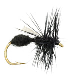 Winged Black Ant, Size 12 | Qty. 6 | Wild Water Fly Fishing