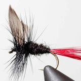 Black Gnat - Black Tail or Red Tail