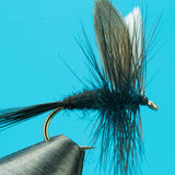 Black Gnat