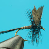 Black Quill  - Mayfly Dry Fly