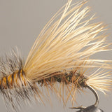 BLEACHED STIMULATORS