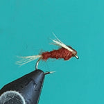 Red-brown quill nymph fly on dark hook