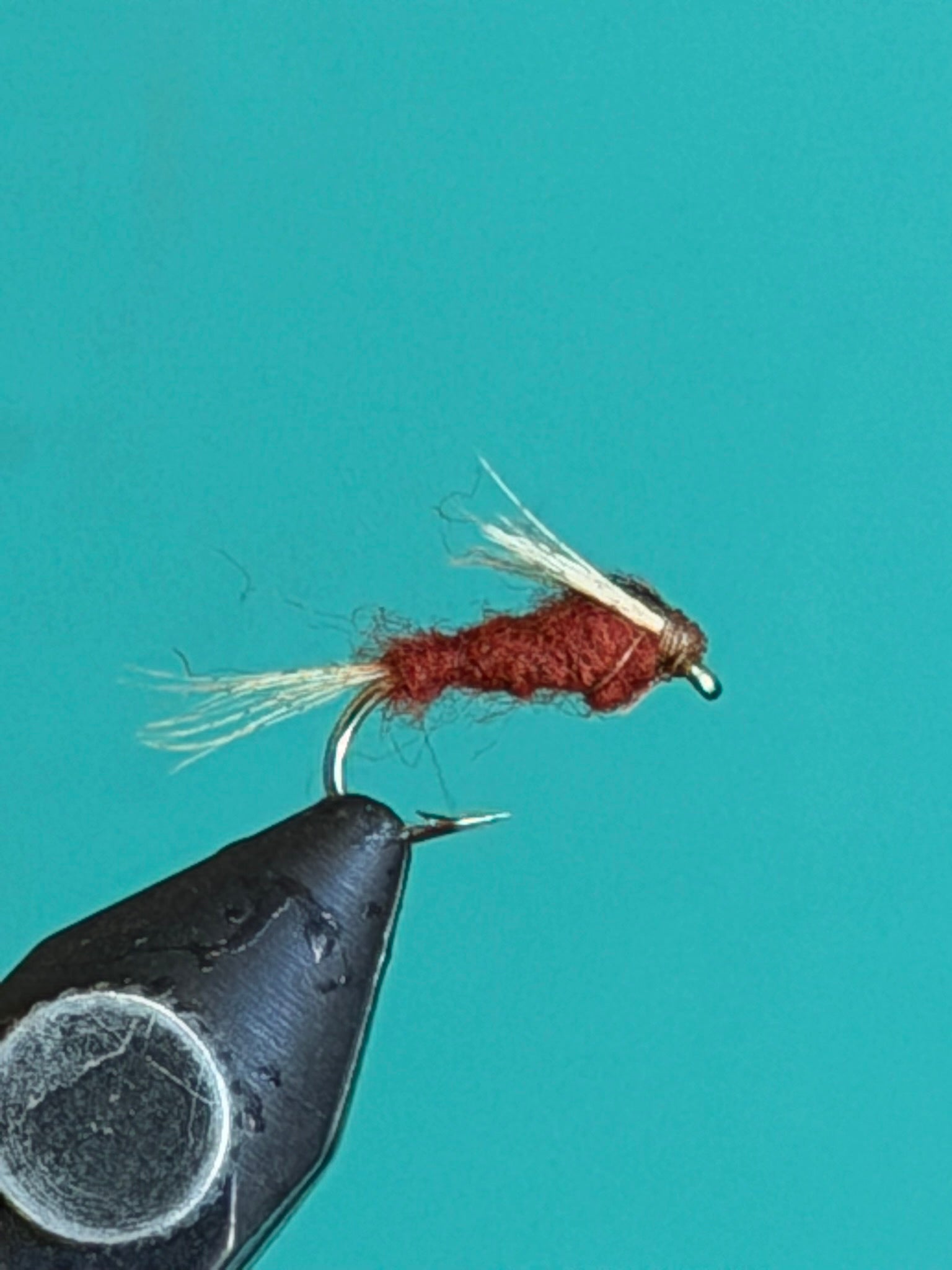 Red-brown quill nymph fly on dark hook