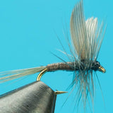 Blue Quill  - Mayfly Dry Fly