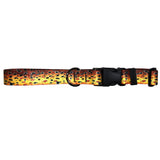 Brown Trout2 Dog Collar