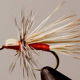 Buck Caddis - Orange