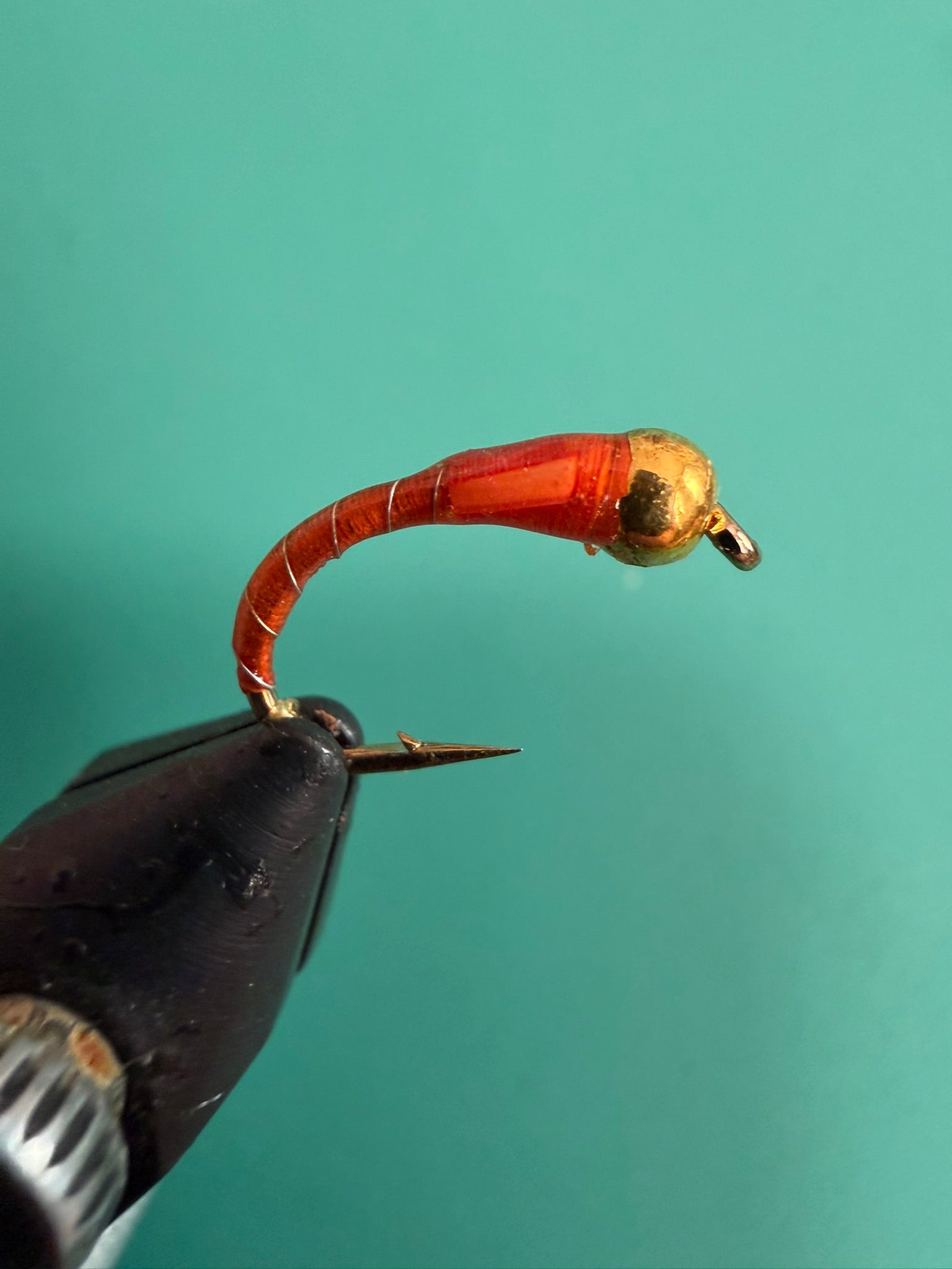 BeadHead chironomid fishing fly with burnt orange segmented body and gold bead head.