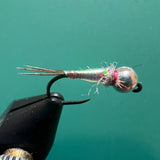 Rainbow Warrior - Pearl