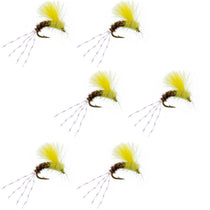 Dry fly set, yellow body and brown hackle with purple-striped legs