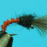 CDC Midge Pupa