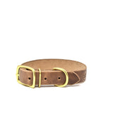 Full Leather Dog Collar