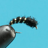 Caddis